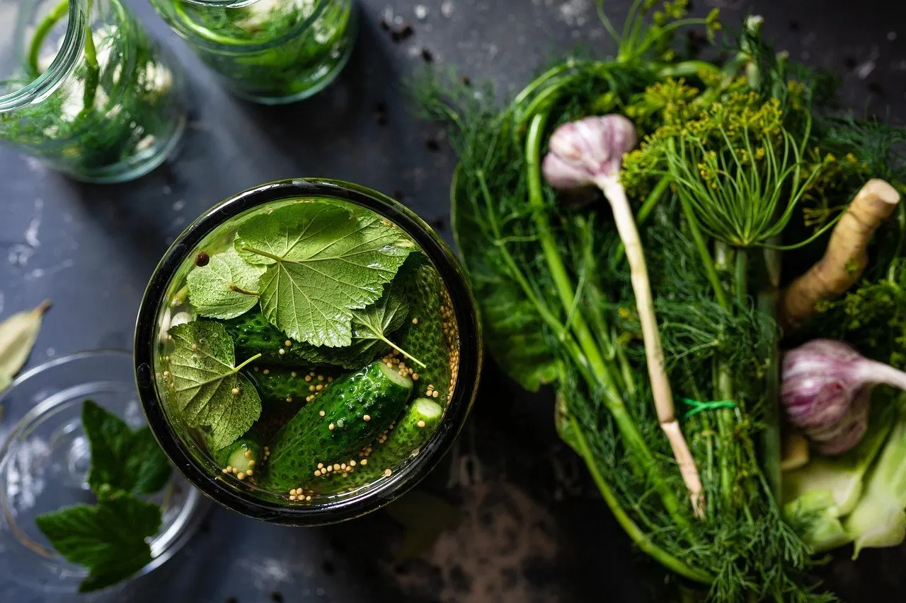 Draufsicht auf ein Glas mit kleinen Gurken, Senfkörnern und Blättern in Lake, daneben Dill, Knoblauch und eine Wurzel